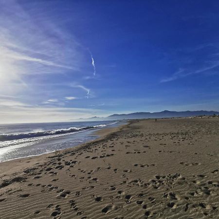 Appartement Climatise Vue Mer 208 Canet-en-Roussillon Esterno foto